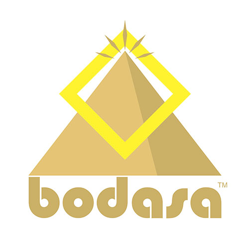 Logo: Bodasa
